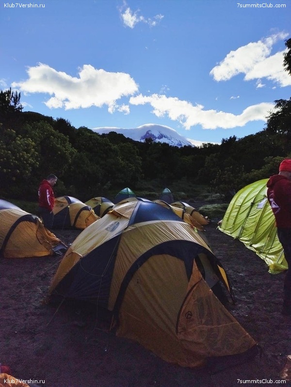 ������������ 2021. ������� ���������, ���� 117