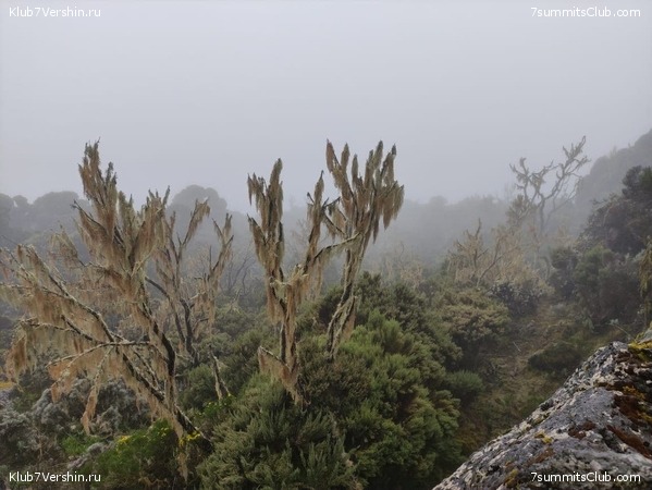 ������������ 2021. ������� ���������, ���� 47