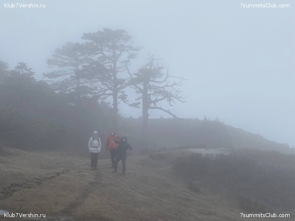 ���� � ������� ������ ��������. ������ ����� 7 ������, ��� 2021 ����, ���� 25