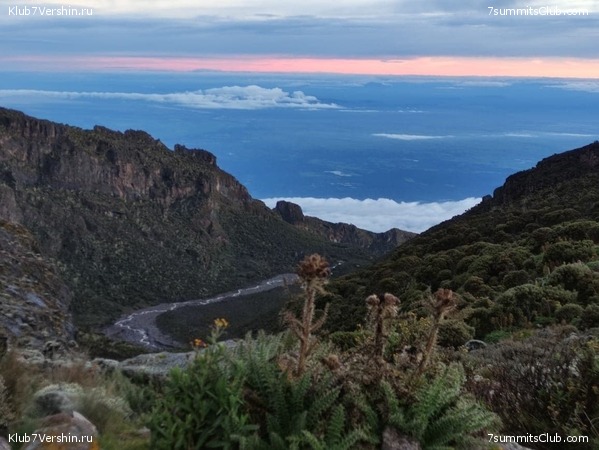 ������������ 2021. ������� ���������, ���� 50