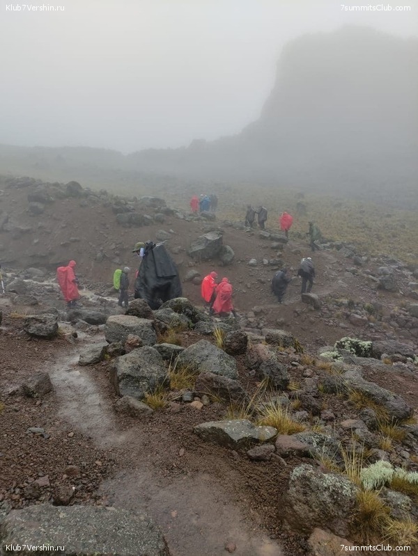 ������������ 2021. ������� ���������, ���� 122