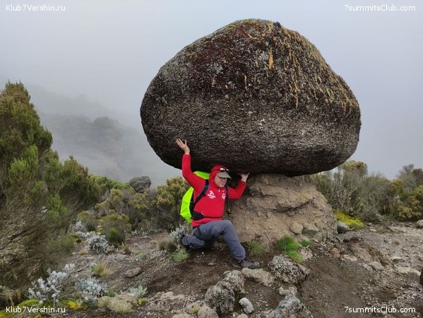 ������������ 2021. ������� ���������, ���� 56