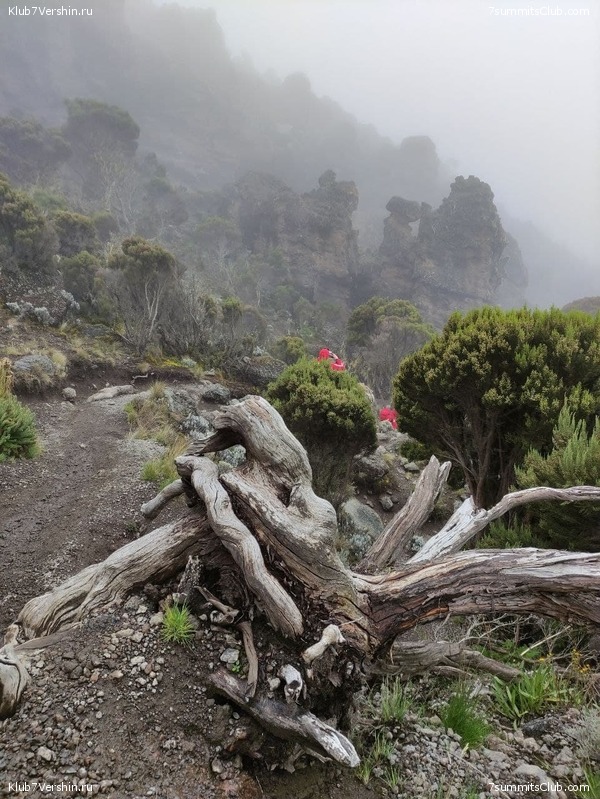 ������������ 2021. ������� ���������, ���� 126