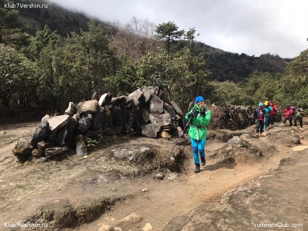 ���� � ������� ������ ��������. ������ ����� 7 ������, ��� 2021 ����, ���� 37