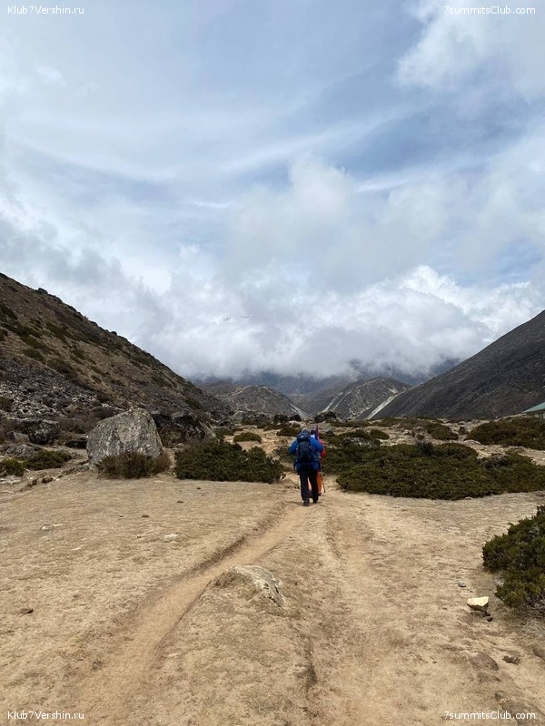 ���� � ������� ������ ��������. ������ ����� 7 ������, ��� 2021 ����, ���� 105