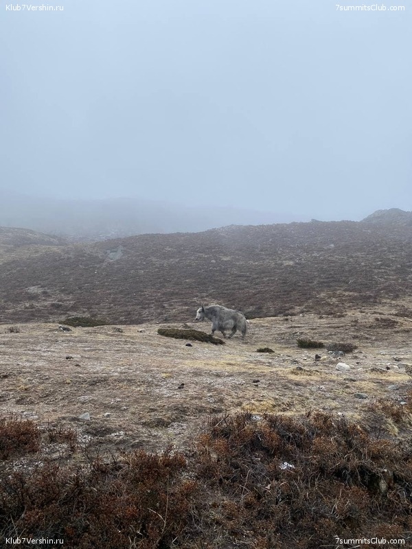 ���� � ������� ������ ��������. ������ ����� 7 ������, ��� 2021 ����, ���� 107