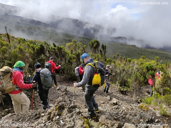 ������������ 2021. ������� ���������, ���� 73