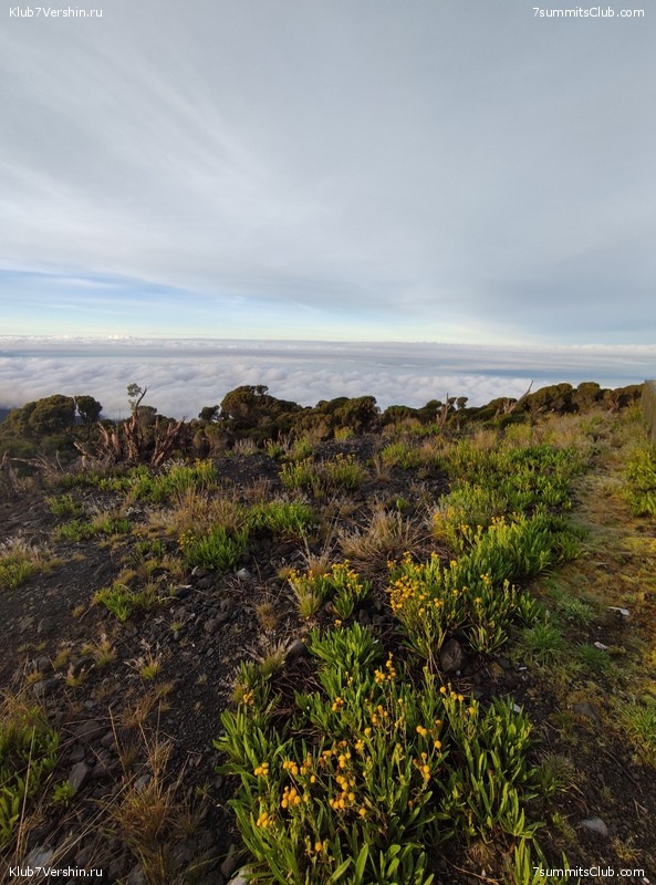 ������������ 2021. ������� ���������, ���� 184