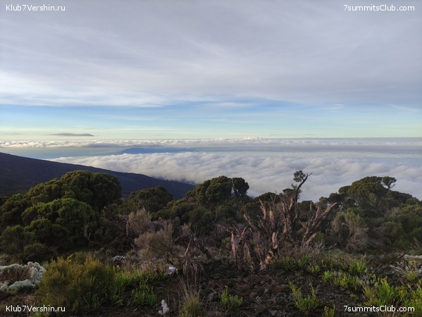 ������������ 2021. ������� ���������, ���� 76