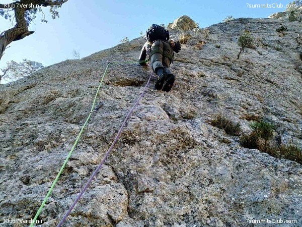 ����. ����� 2021 ����, ���� 44