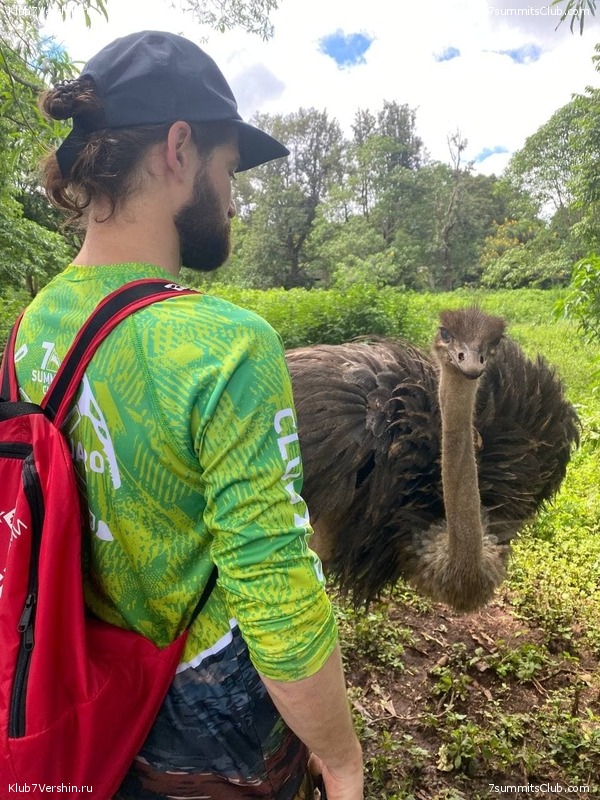 ������������ 2021. ������� ���������, ���� 141