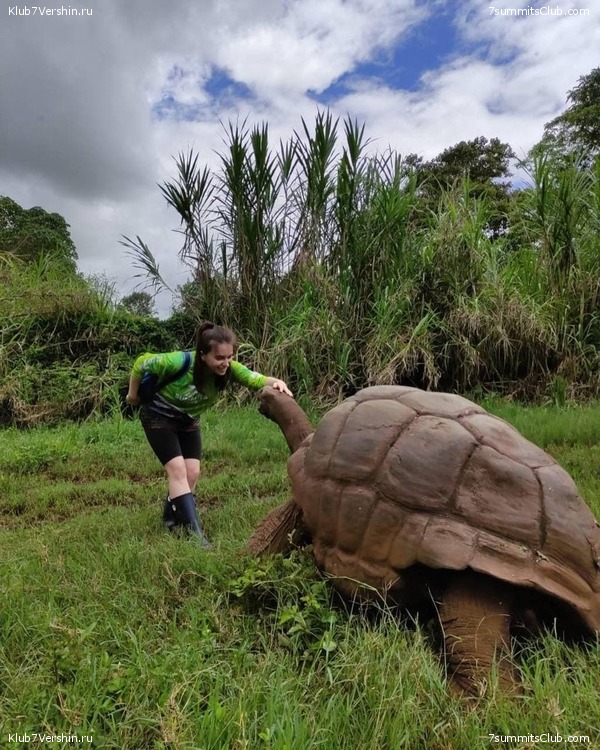 ������������ 2021. ������� ���������, ���� 94