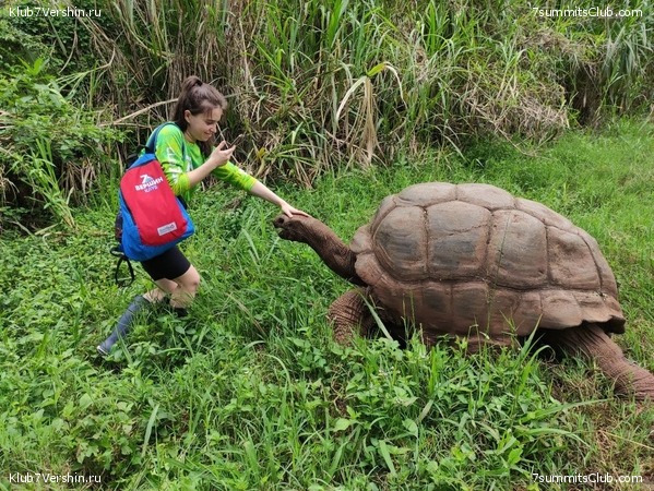 ������������ 2021. ������� ���������, ���� 84