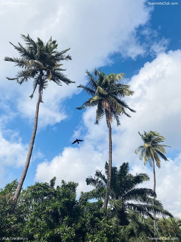 ������������ 2021. ������� ���������, ���� 143