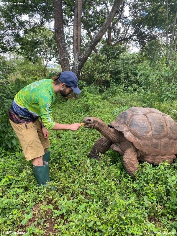 ������������ 2021. ������� ���������, ���� 146