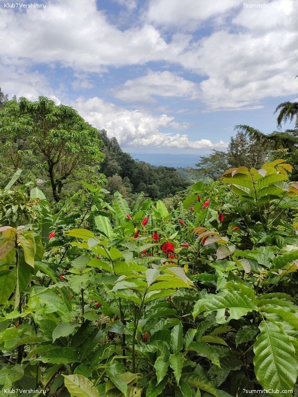 ������������ 2021. ������� ���������, ���� 154