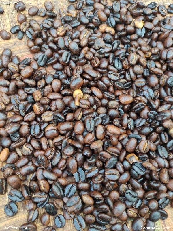 ������������ 2021. ������� ���������, ���� 156