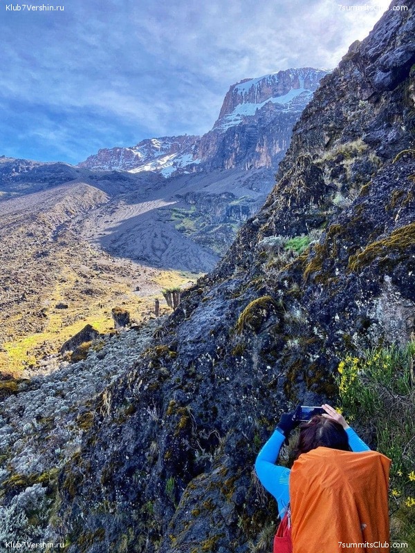 ������������. ��� 2021. �����: ������� ����������, ���� 25