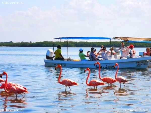 ������������ ������� �������� ����, ���� 32