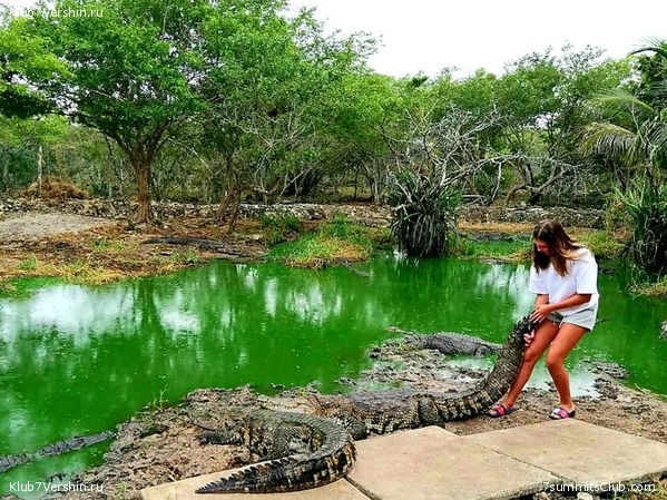 ������������ ������� �������� ����, ���� 31