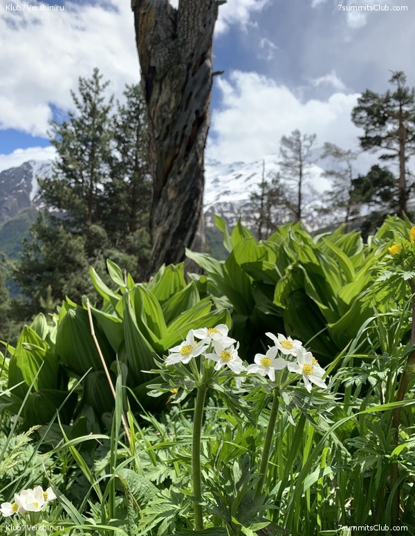 ������� 2021. �������� ���������� 1, ���� 157