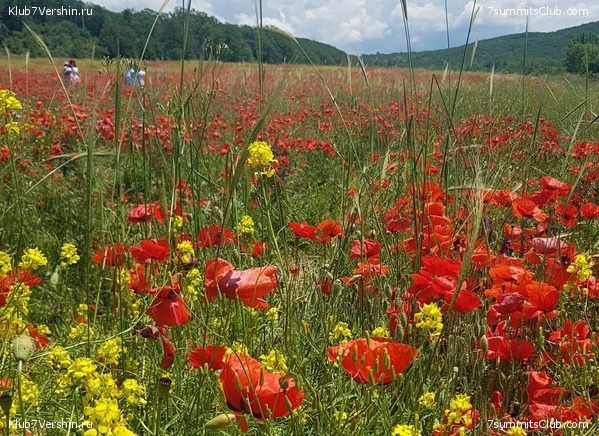 ����. ������ ���������� 2021 ����, ���� 26