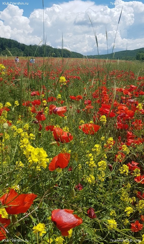 ����. ������ ���������� 2021 ����, ���� 91