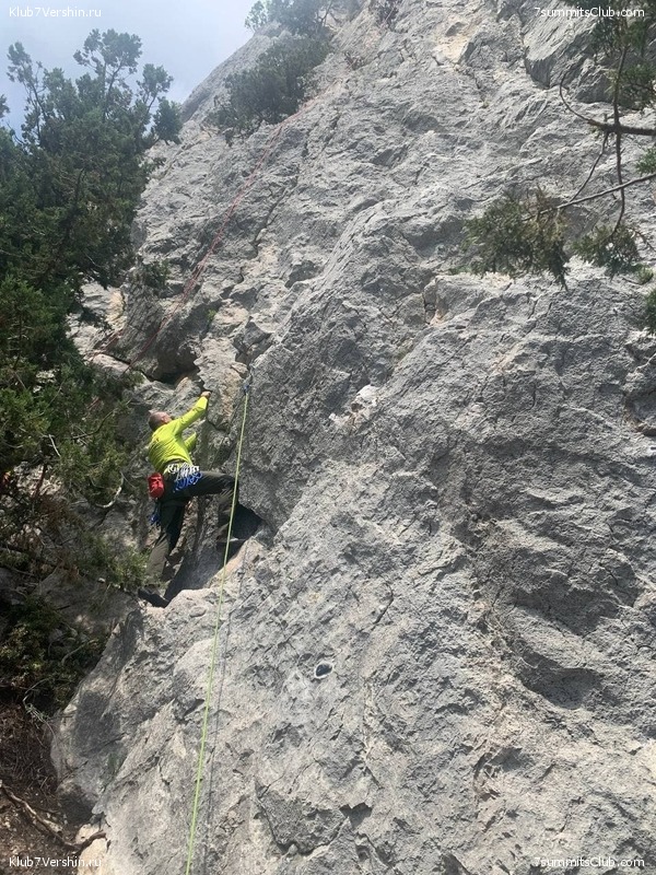 ����. ������ ���������� 2021 ����, ���� 55