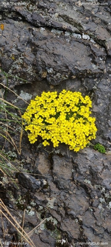 ������� 2021. �������� ���������� 1, ���� 203