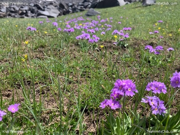 ������ 2021. ���� - ����, ���� 83