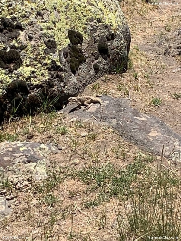 ������ 2021. ���� - ����, ���� 150