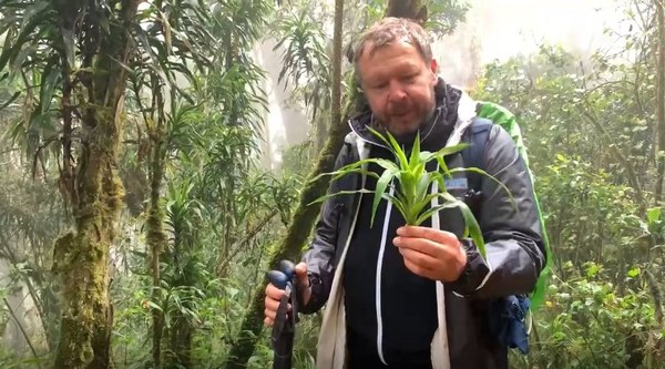 ������. 2021 ���, ���� 5