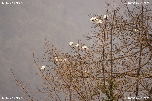 ����� ��������� HD ������� 2021 ���������, ���� 5