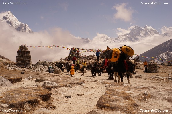 ����� ��������� HD ������� 2021 ���������, ���� 74