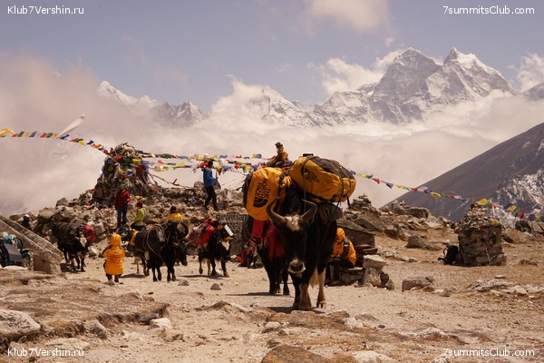 ����� ��������� HD ������� 2021 ���������, ���� 77