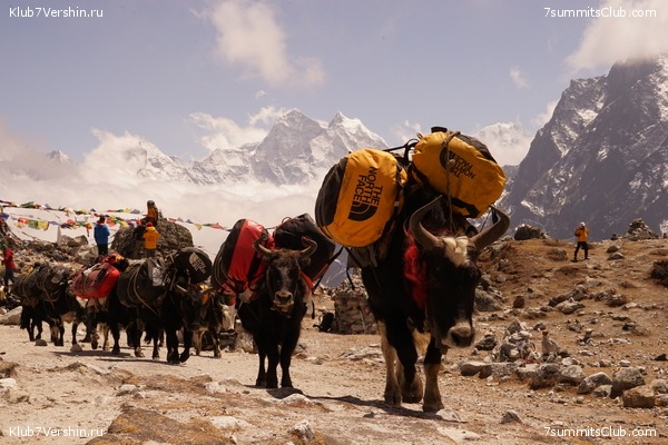 ����� ��������� HD ������� 2021 ���������, ���� 78