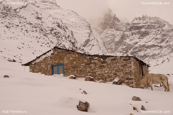 ����� ��������� HD ������� 2021 ���������, ���� 100