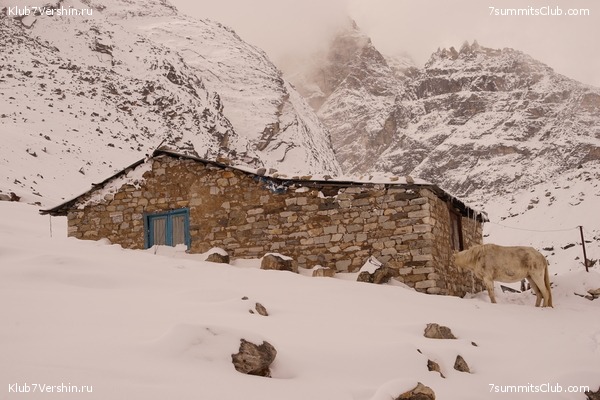 ����� ��������� HD ������� 2021 ���������, ���� 102