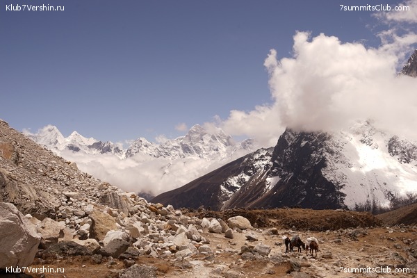 ����� ��������� HD ������� 2021 ���������, ���� 321