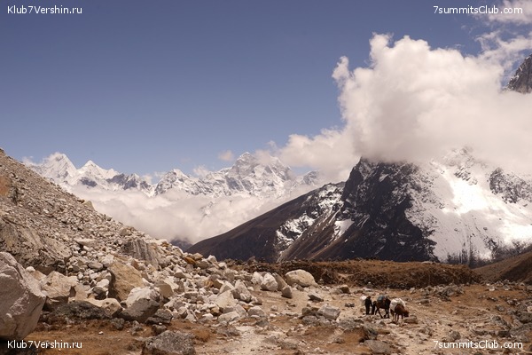 ����� ��������� HD ������� 2021 ���������, ���� 326