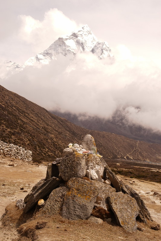 ����� ��������� HD ������� 2021 ���������, ���� 555