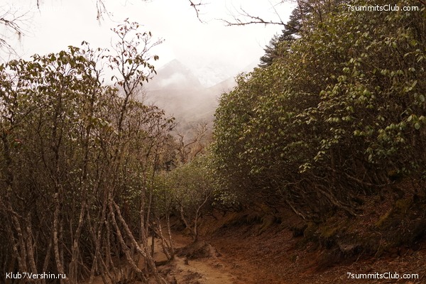 ����� ��������� HD ������� 2021 ���������, ���� 340