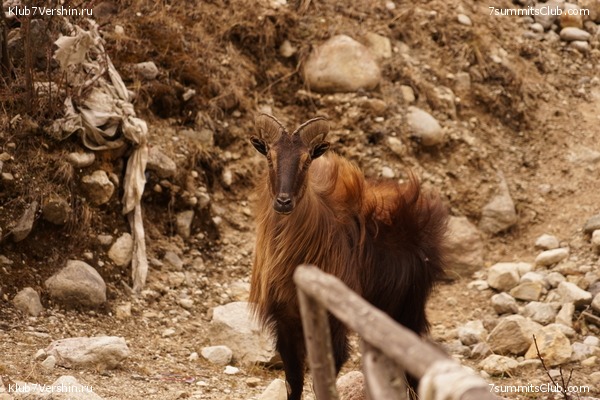 ����� ��������� HD ������� 2021 ���������, ���� 363