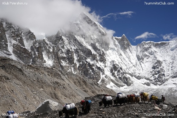 ����� ��������� HD ������� 2021 ���������, ���� 520