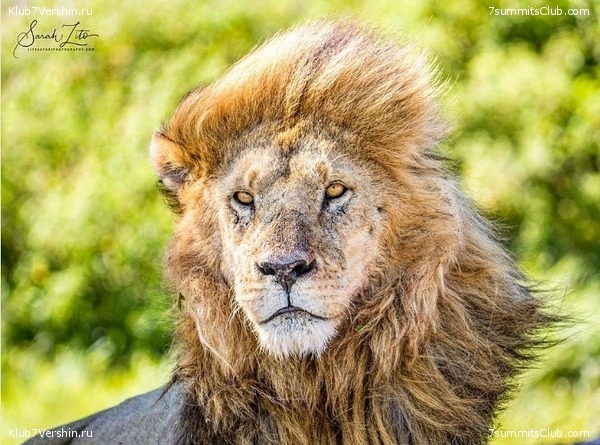 00-������������ �������, ���� 167