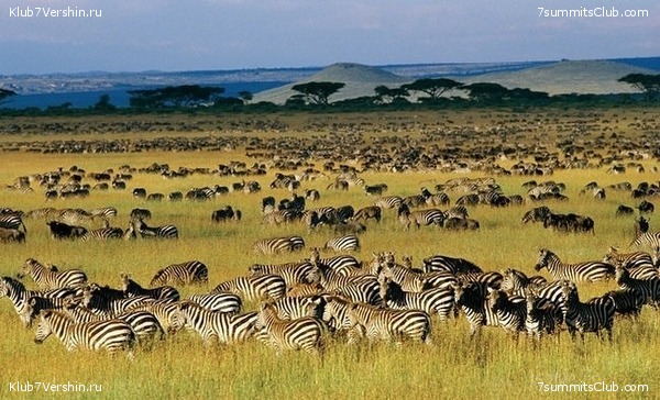 00-������������ �������, ���� 64