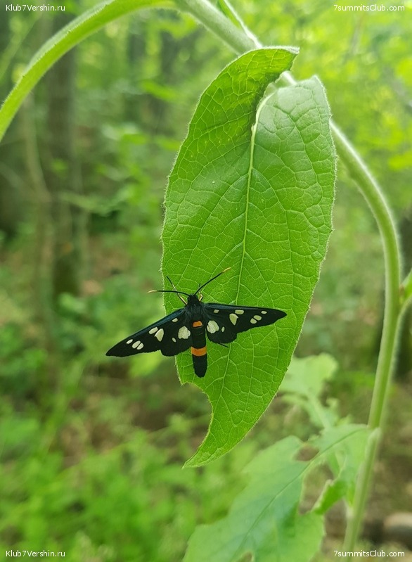 ����. ������ ���������� 2021 ����, ���� 64