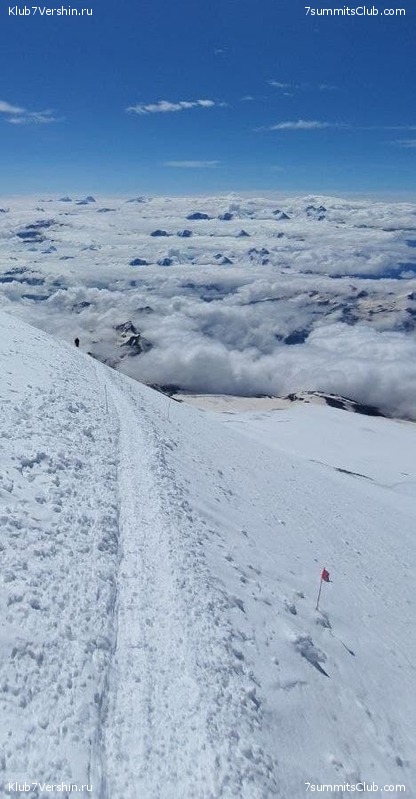 ������� 2021. ���� - ������ ����, ���� 137