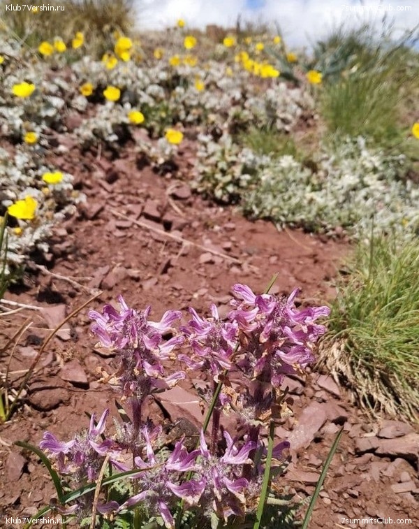 ��� ������ 2021. ������, ���� 139