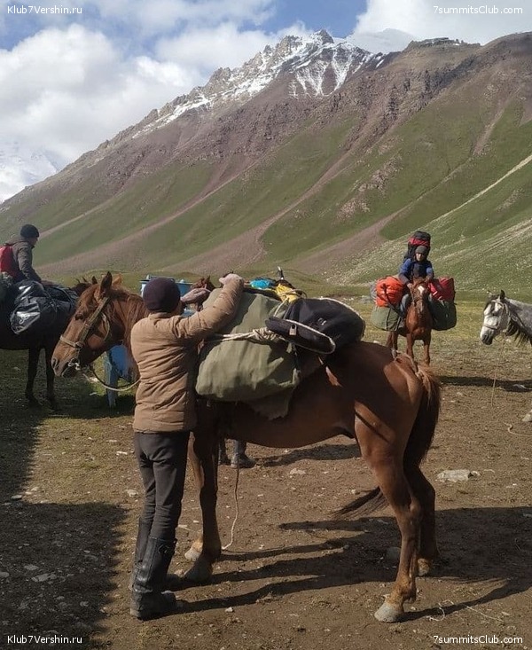 ��� ������ 2021. ������, ���� 133